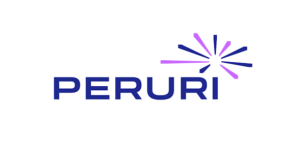 Peruri Buka Lowongan Super Team INA! Rekrut Talenta Digital Terbaik&nbsp;2024